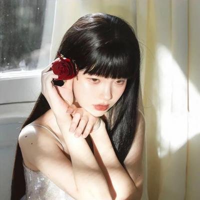 信访局长